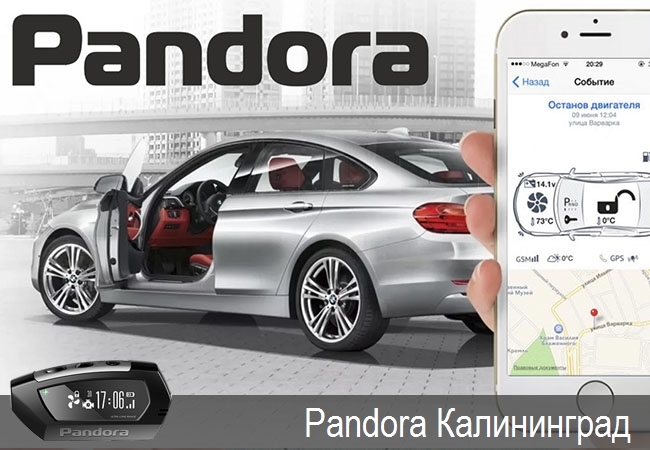 Pandora Калининград,официальные представители